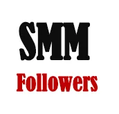 SMMfollowers.in logo